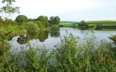 Neuravensburger Weiher