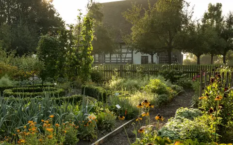 Bauerngarten und Kräutergarten
