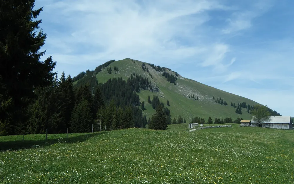 Gulmen (SG)