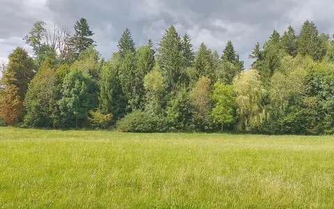 Bimisdorfer Mösle