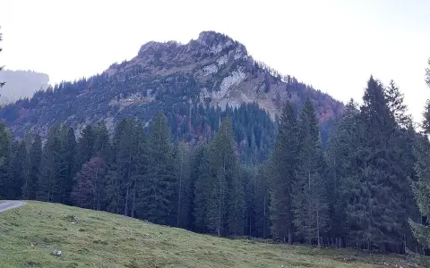 Sevischrofen