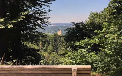 Muckeseckele-Runde