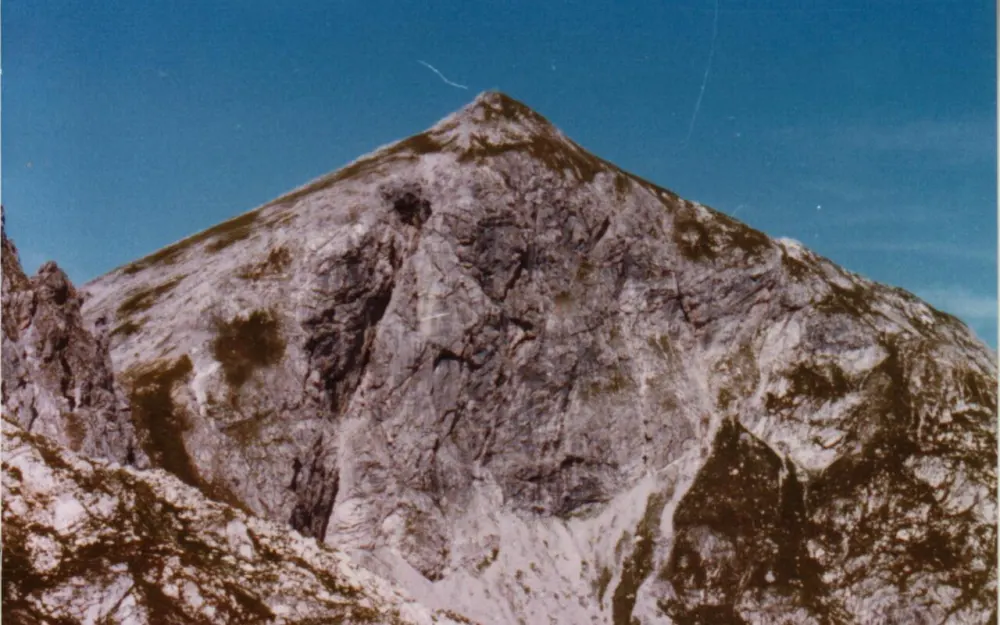 Liechelkopf