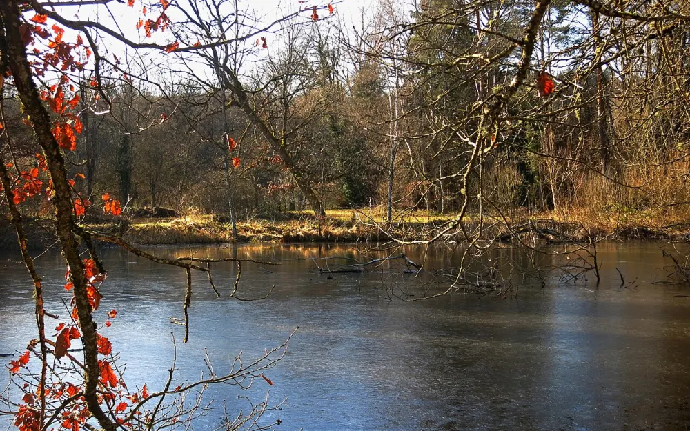 Eschheimer Weiher