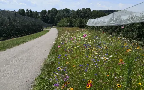 Laufrunde: Von Meistershofen über Bunkhofen bis nach Ittenhausen und zurück