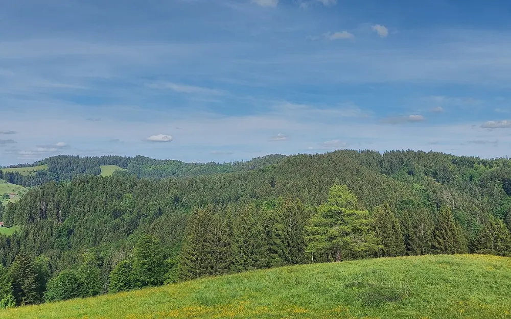 Änger