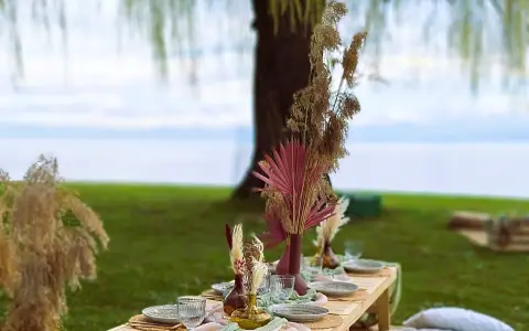 Bodensee Picnic