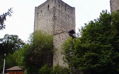Burgruine Sulzberg