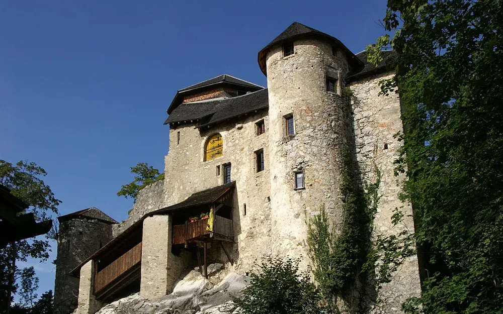 Burg Neu-Ems