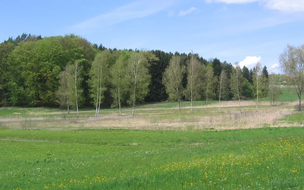 Schönmoos