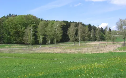 Schönmoos