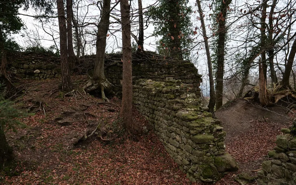 Burgruine Heuberg