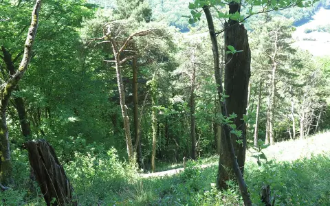 Küssaberg