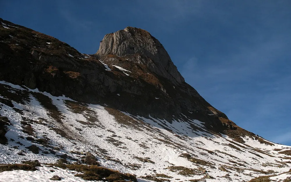 Torkopf