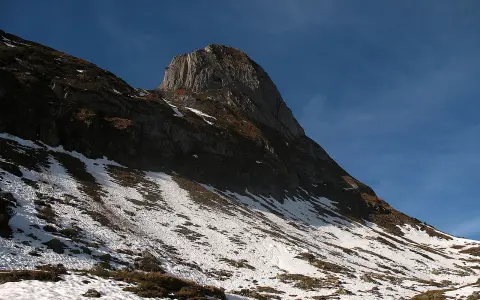 Torkopf