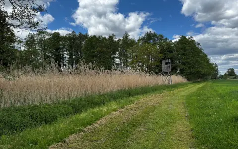Weiherwanderweg in Wald