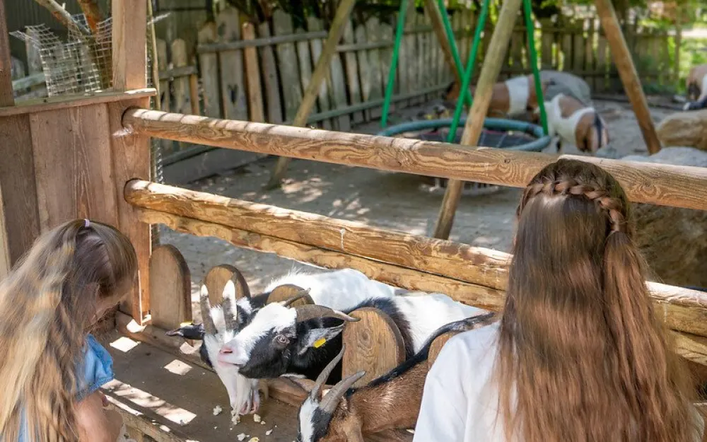 Haustierhof Reutemühle - Der Bodensee-Zoo