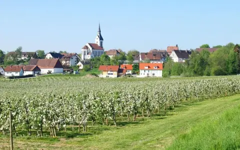 Lippertsreute