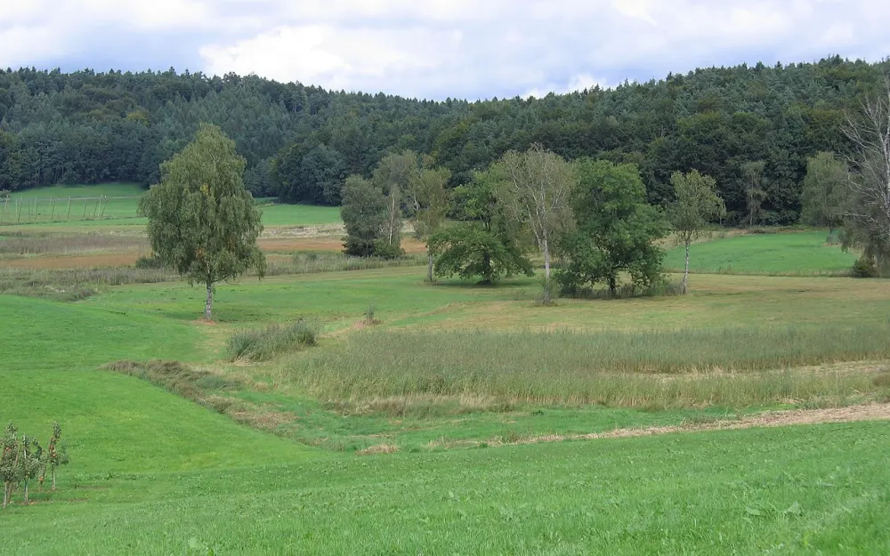 Berger Weiher