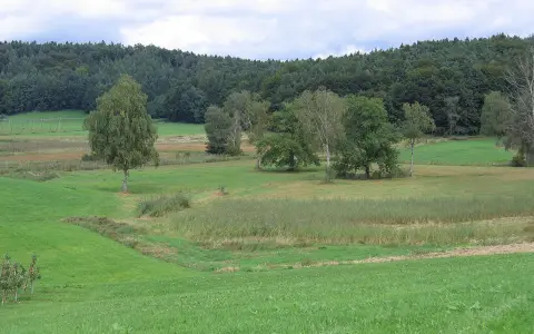 Berger Weiher