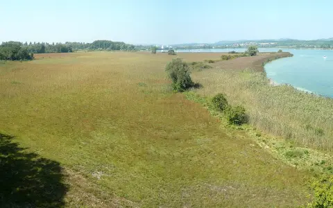 Halbinsel Mettnau