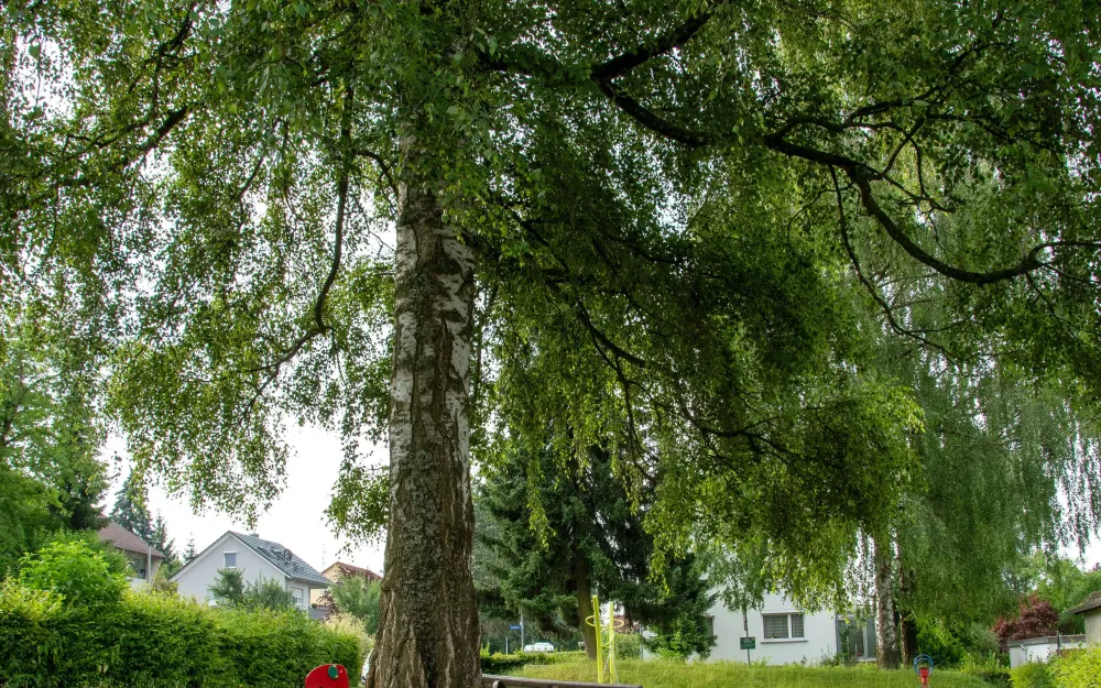 Spielplatz Goldäcker