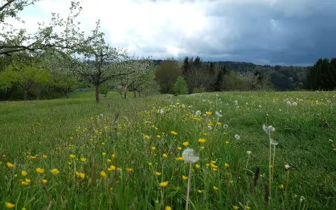 Drumlin 'Im Hasenbühl' und 'Gegez'