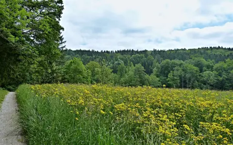 Durchbruchstal der Wolfegger Ach