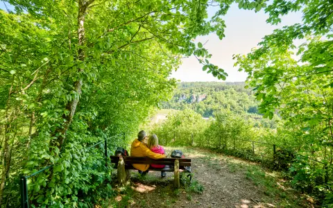 Nägelesfelsen - Aussichtspunkt, Premiumwanderweg Witbergrunde