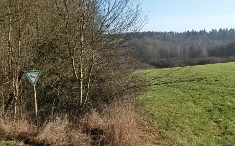 Wasenried