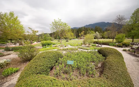 Kräutergarten Fischen