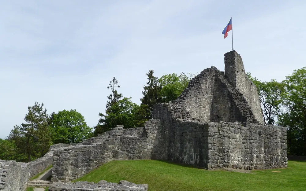 Ruine Neu-Schellenberg