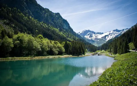 Stausee Steg