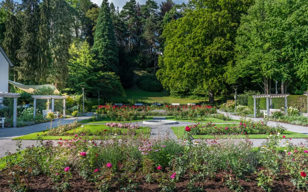 Rosengarten im Überlinger Stadtgarten