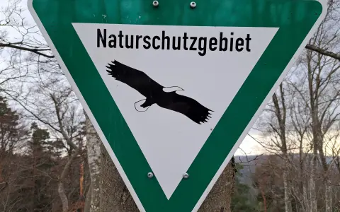 Naturschutzgebiet Kugelwäldle