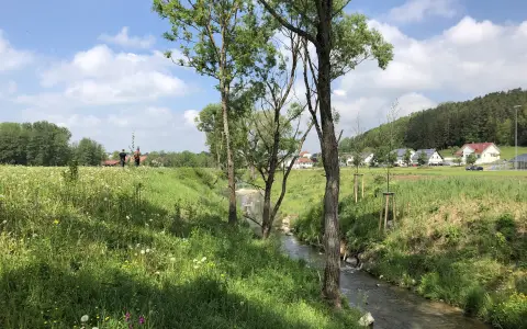 Schlichem