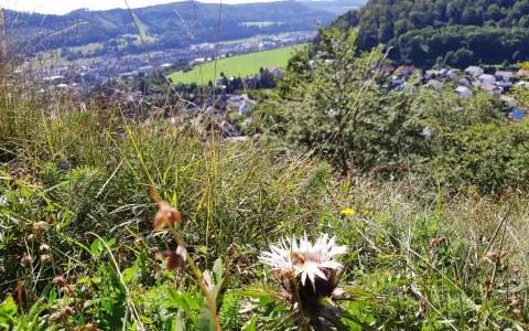Aussichtspunkt Schnecklesfels