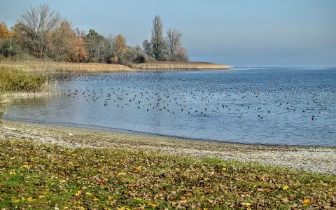 Bodenseeufer (Gmk. Gaienhofen, Horn, Gundholzen)