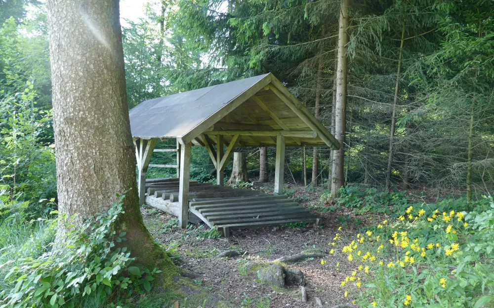 Trimm-dich-Pfad beim Wildfreigehege Locherholz