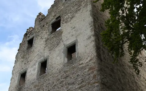 Burg Bodman (Karolingische Königspfalz)