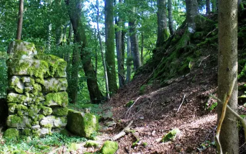 Burg Mandach