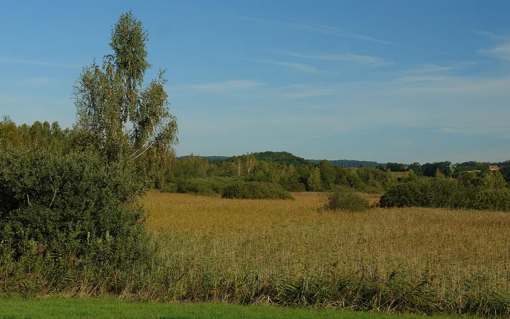 Altshauser Weiher