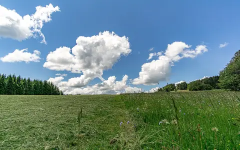 Landschaftsteile auf den Gemarkungen Deilingen und Wehingen