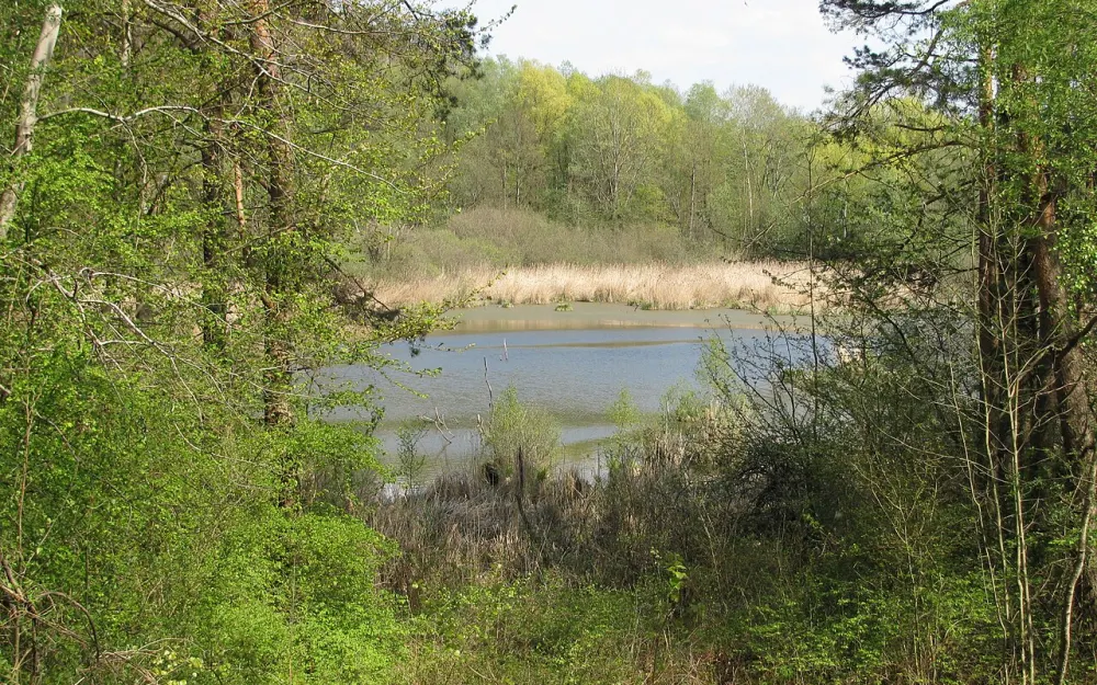 Raderacher Weiher