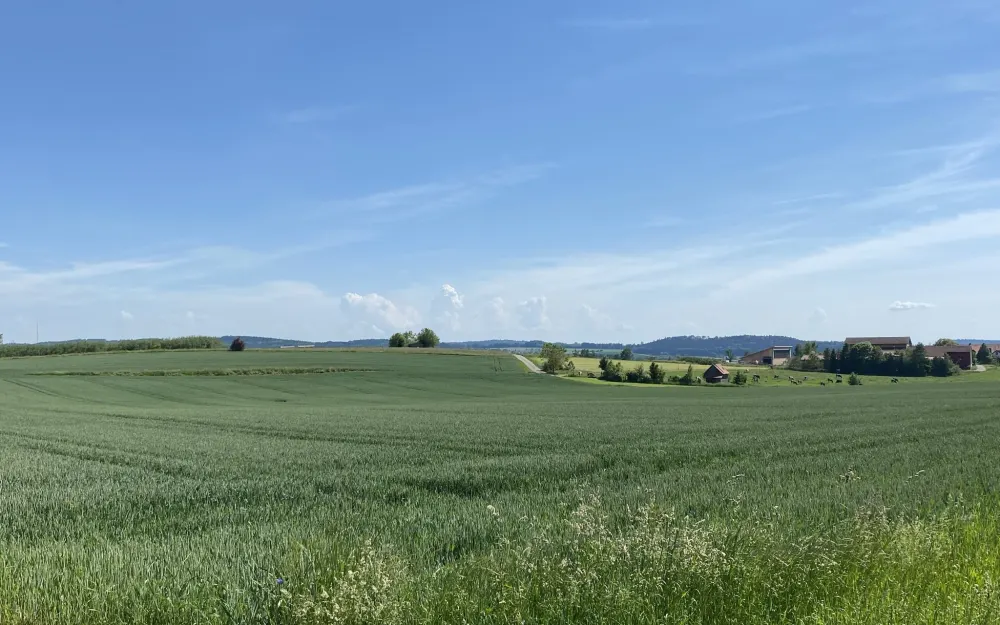 Fernblick