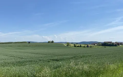 Fernblick