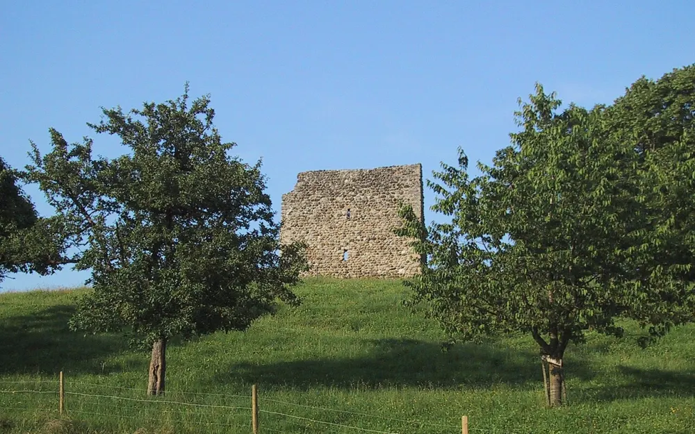 Burgruine Anwil