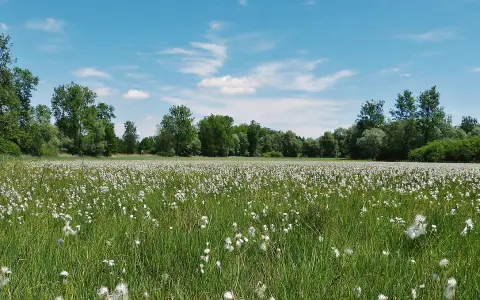 Rotachtal Bodensee