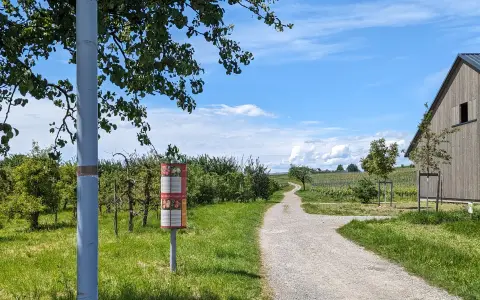 PXL 20240516 124250058