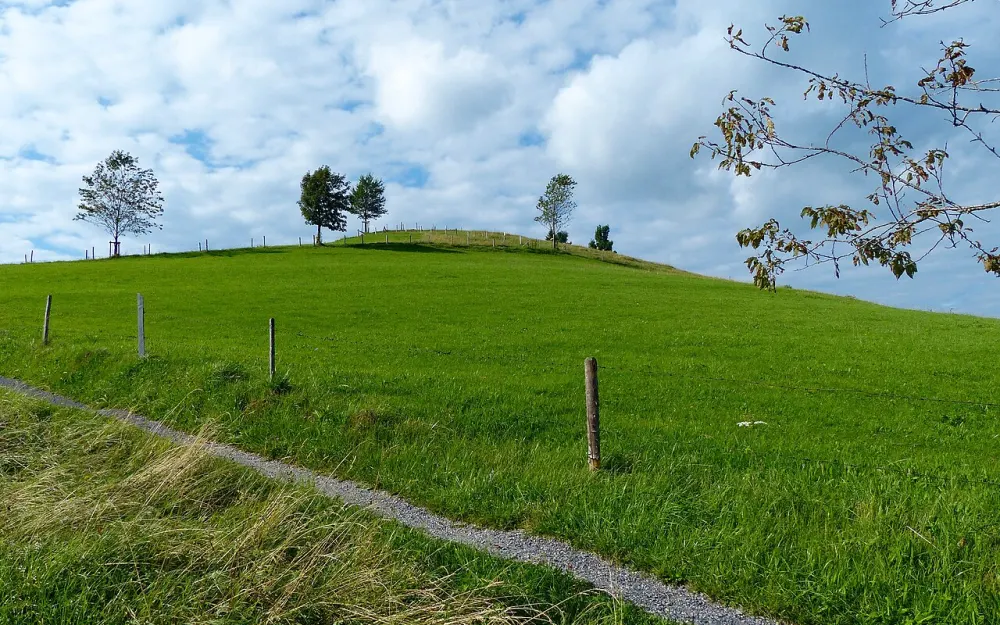 Wallmoräne bei Buflingsried